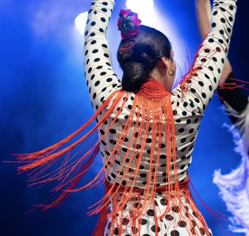 Foto mujer bailando flamenco para: Galería de sevillanas y flamenco